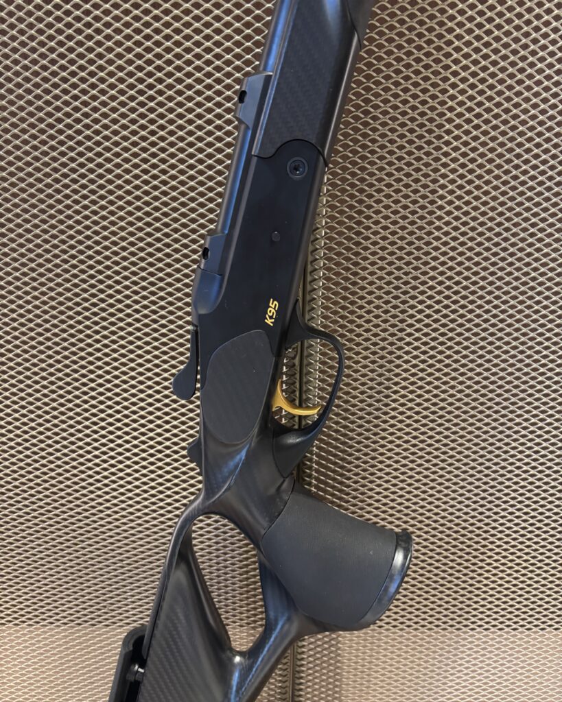 BLASER