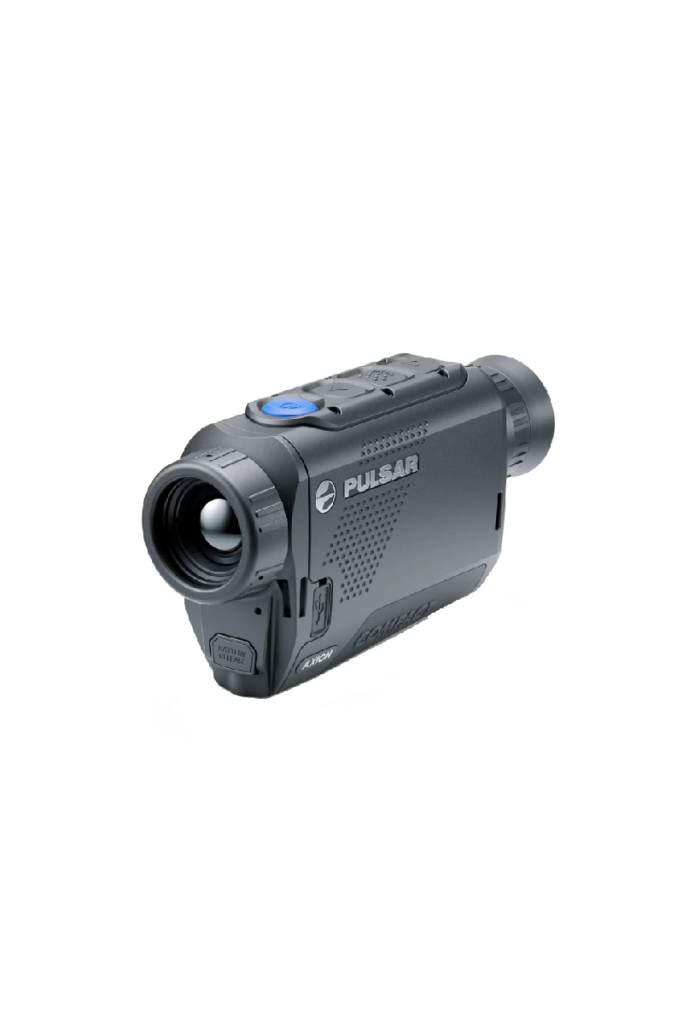 Pulsar Axion Compact